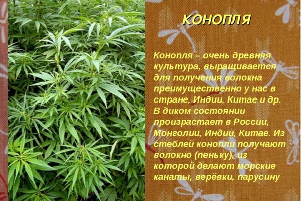 Зайти на кракен
