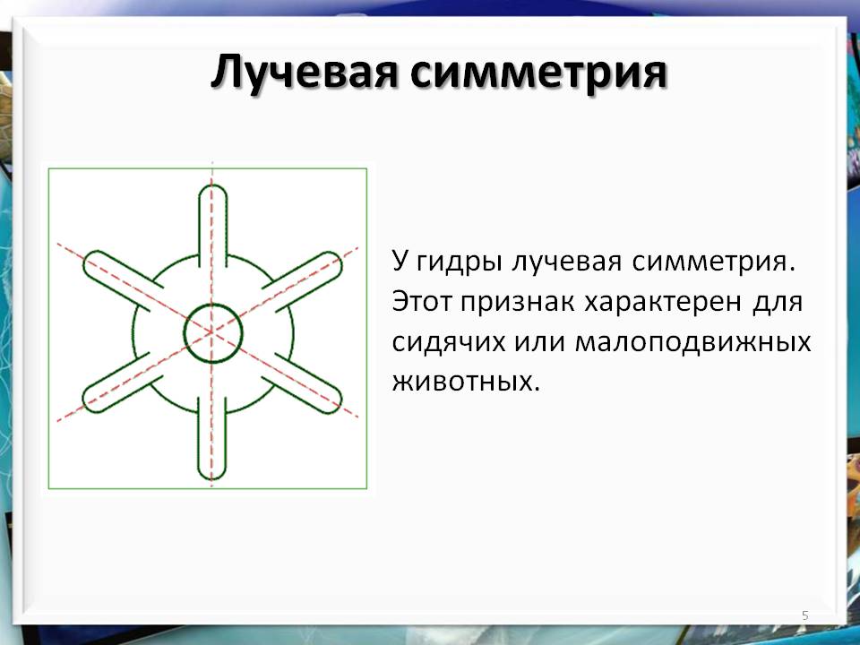 Кракен лучший маркетплейс