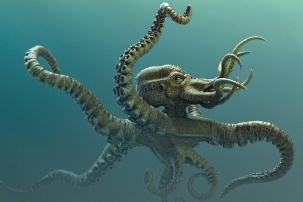 Kraken адрес onion