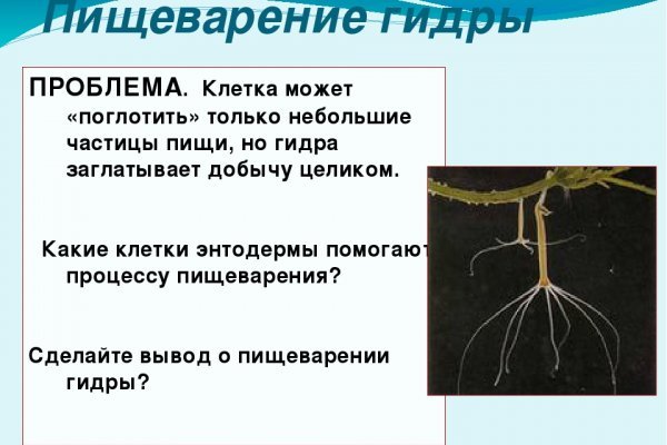 Кракен ссылка замена