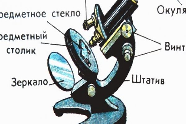 Как зайти на кракен через тор