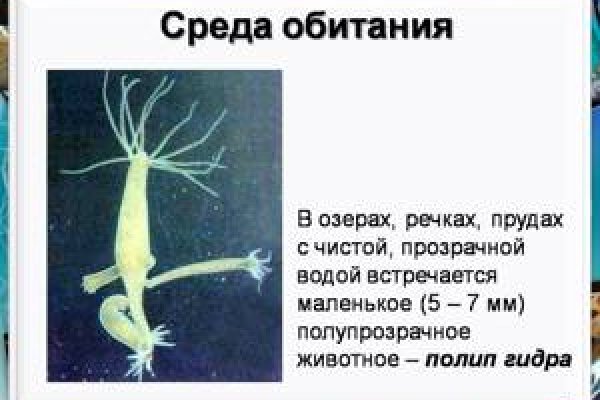 Как зайти на кракен без тора